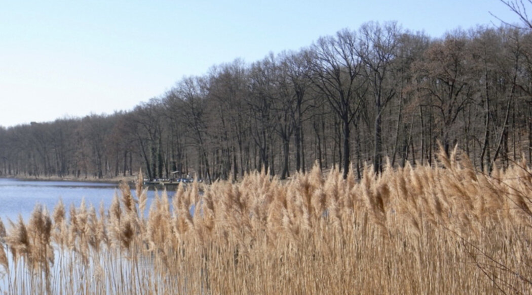 Blick auf den Gohlitzsee Kloster Lehnin