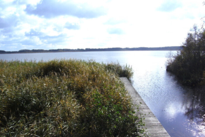 Rietzer See - Blick über den See