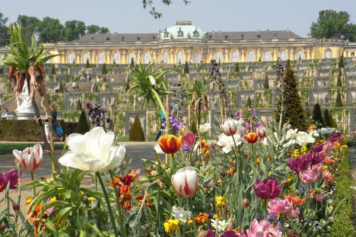 Schloss Sanssouci Potsdam